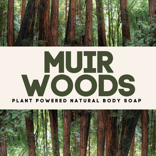 The Muir Woods Natural Body Soap