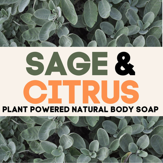 Sage & Citrus Natural Soap